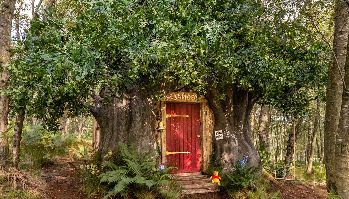 Winnie the Pooh House