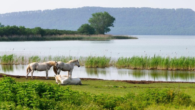 Lago di Vico, la miglior destinazione lacuale d’Italia