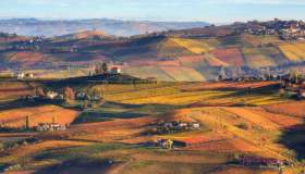 Tra le colline e i boschi del Nizza, nel Monferrato, Patrimonio Unesco