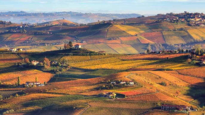 Tra le colline e i boschi del Nizza, nel Monferrato, Patrimonio Unesco
