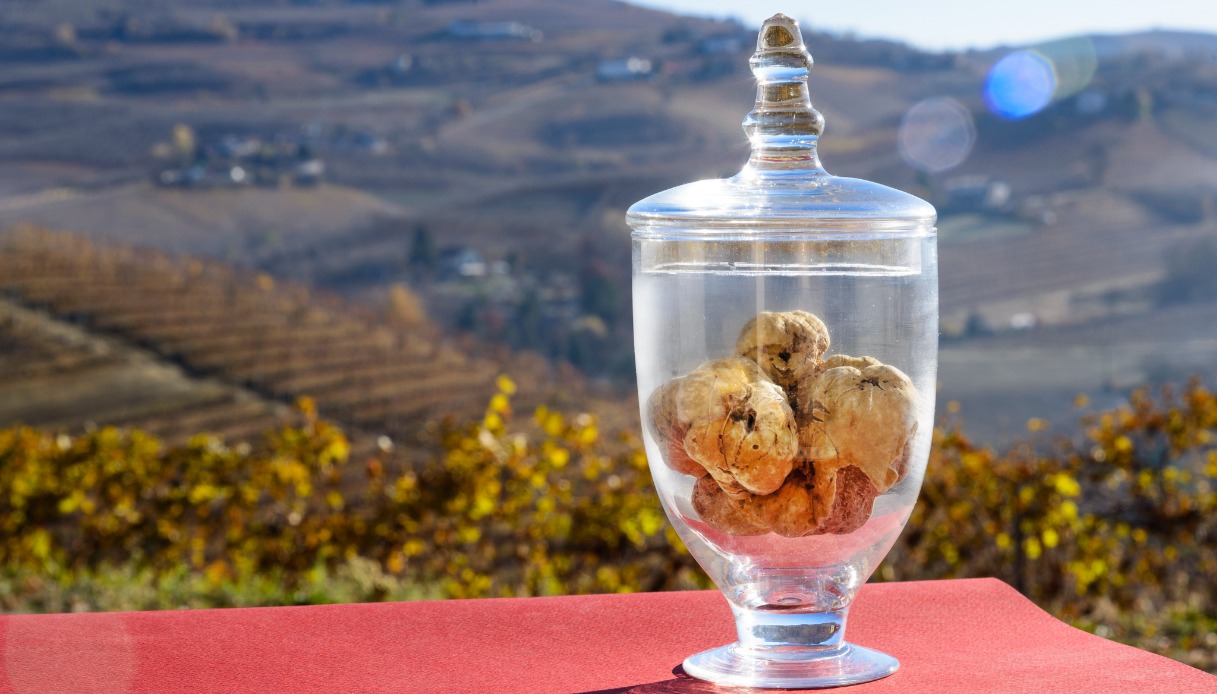 Il tartufo di Alba