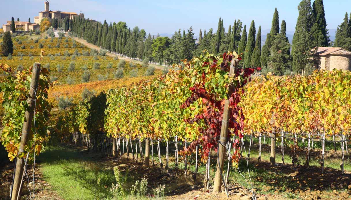 Vigneti in Toscana