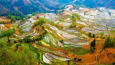 Stairway to Heaven: le scale per il paradiso in Cina
