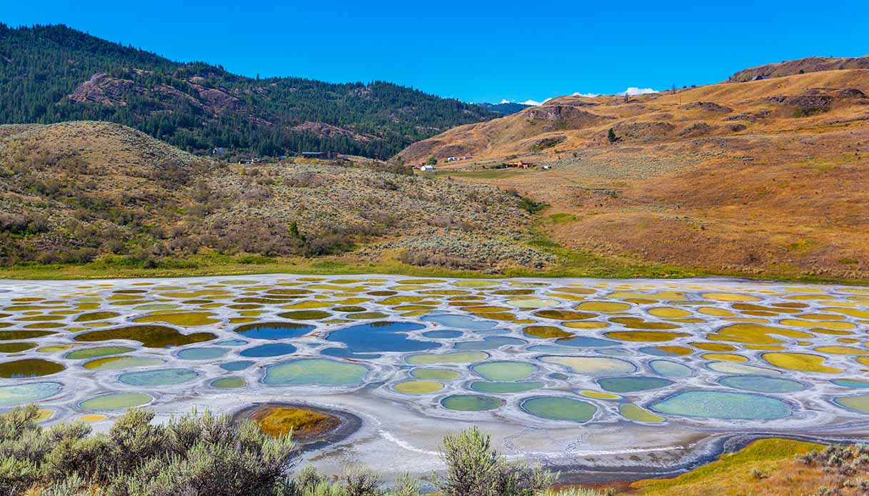 Spotted Lake