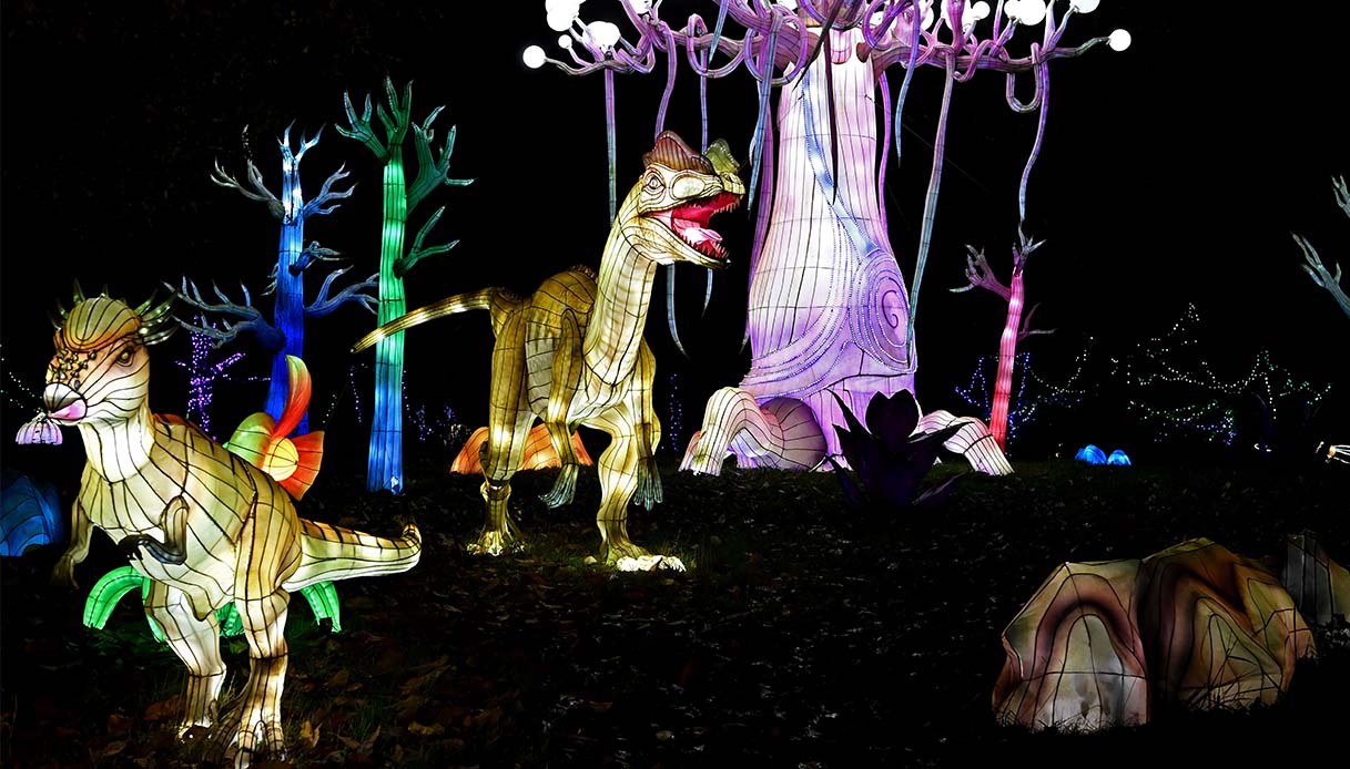 Thoiry Lumieres Sauvages