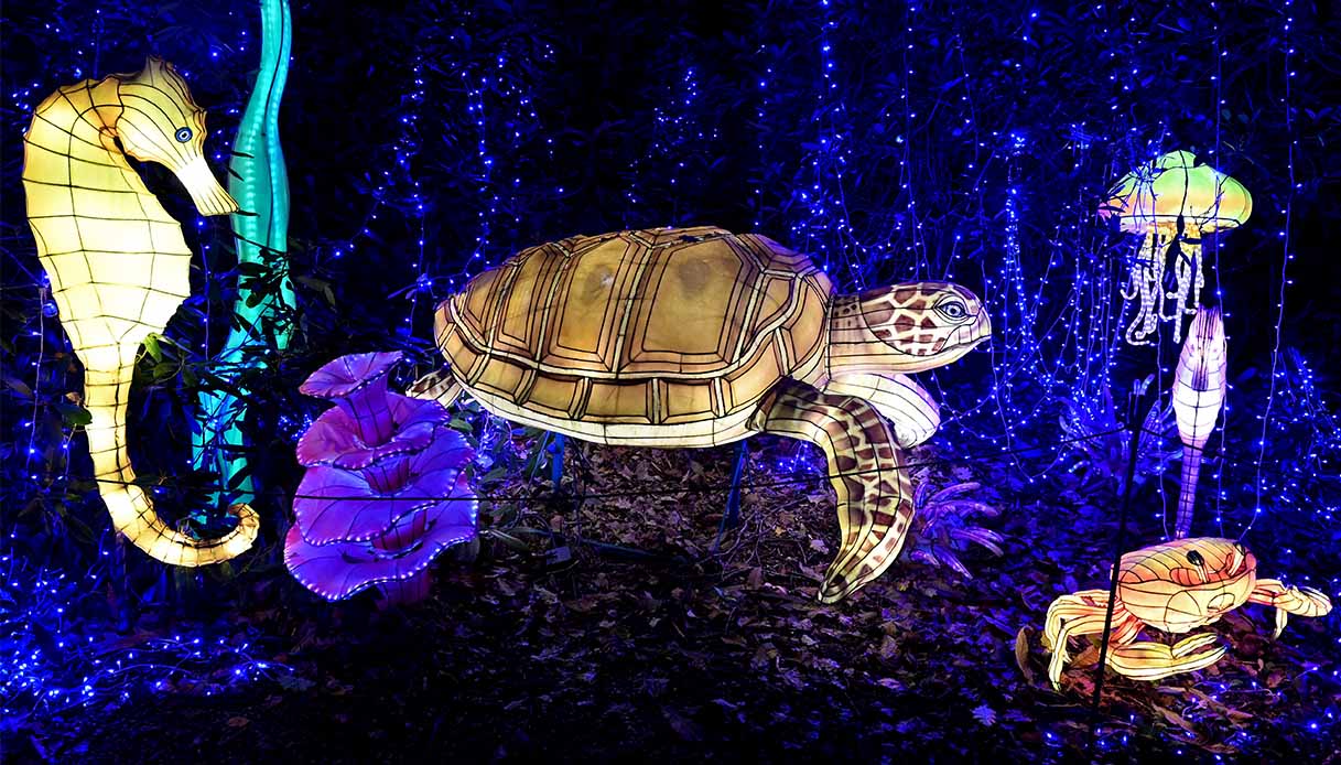 Thoiry Lumieres Sauvages