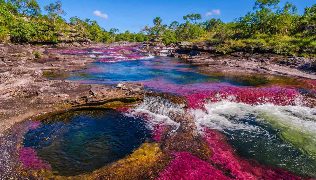 Luglio, il Caño Cristales
