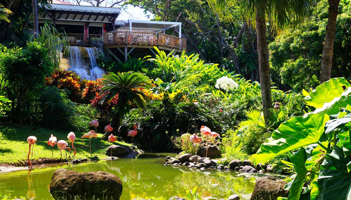 giardino-botanico-guadalupa