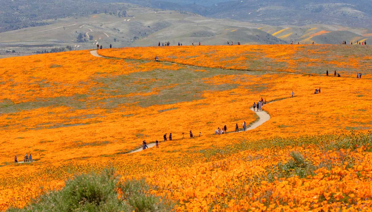 Antelope Valley in California