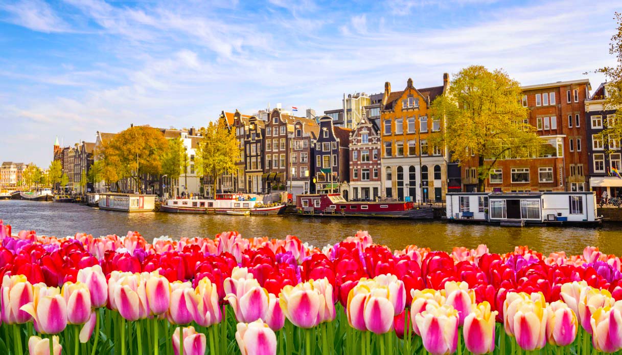 Tulp Festival, Amsterdam