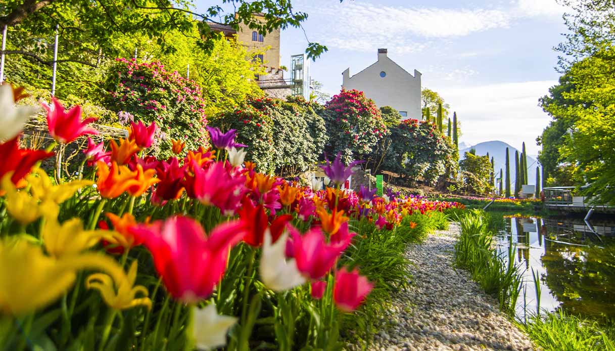 Tulipani a Castel Trauttmansdorff