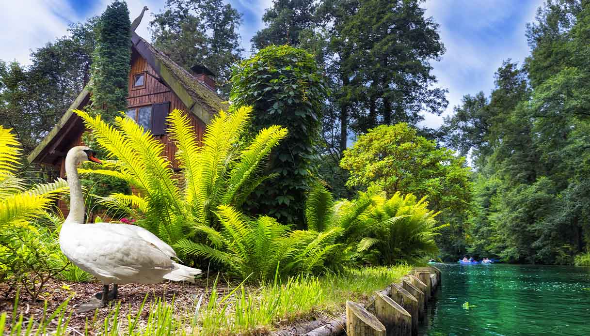 Spreewald