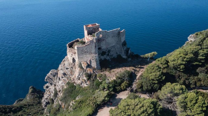 Alla scoperta dell’isola di Gorgona, scrigno mediterraneo