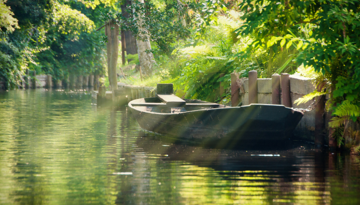 In barca nella Spreewald