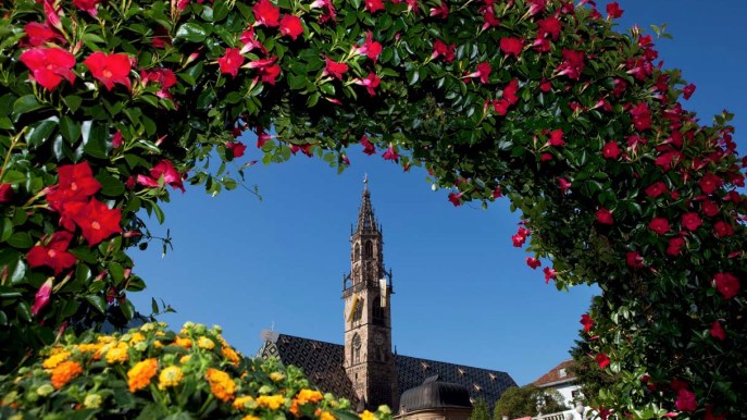 A primavera questa città si riempie di fiori (ed è una meraviglia)