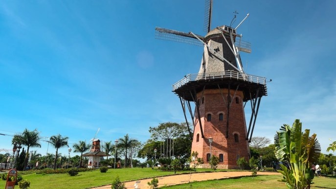 C’è una piccola Olanda dall’altra parte del mondo piena di tulipani