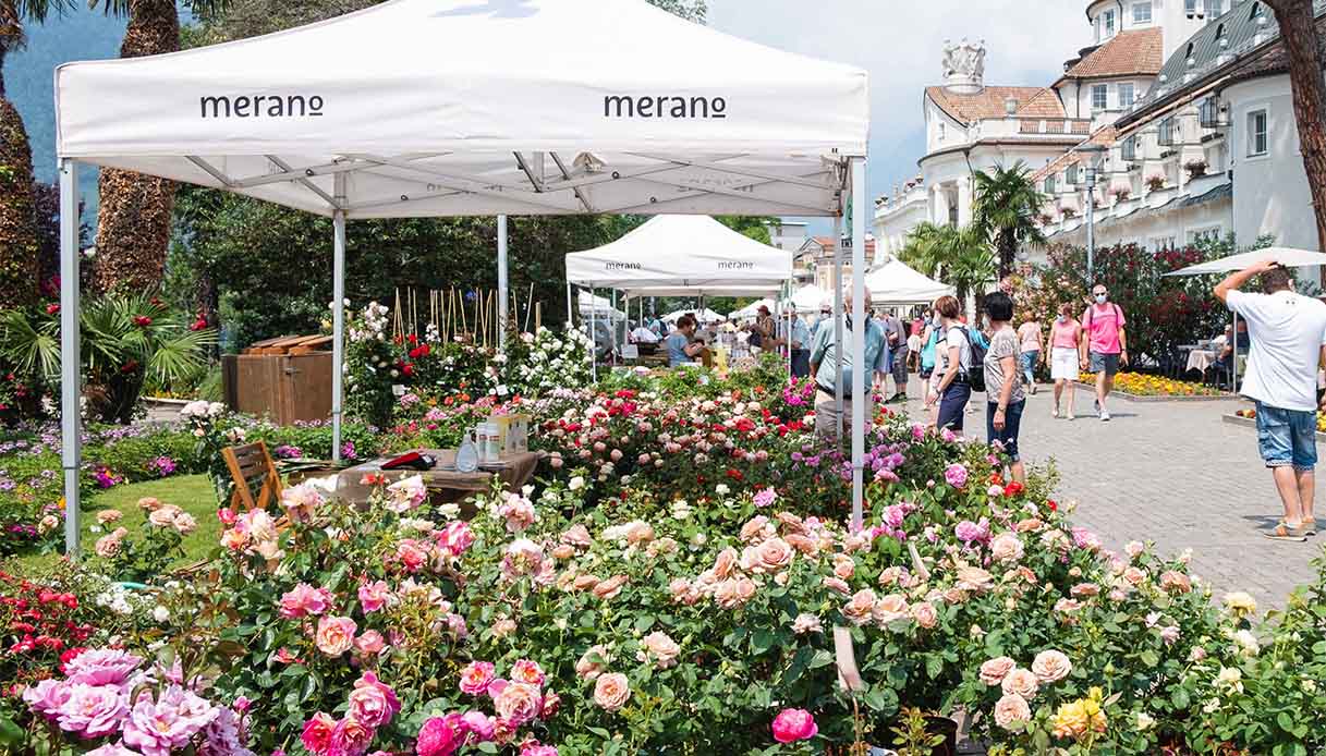 Merano in fiore