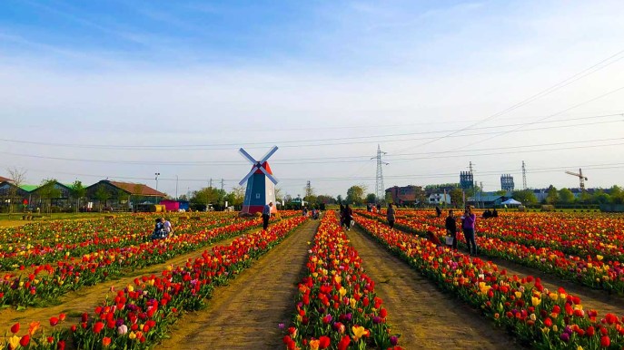 In Italia c’è una “piccola Olanda” a due passi dalla città