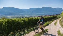 Il Giro del Vino 50, in bicicletta tra borghi e vigneti