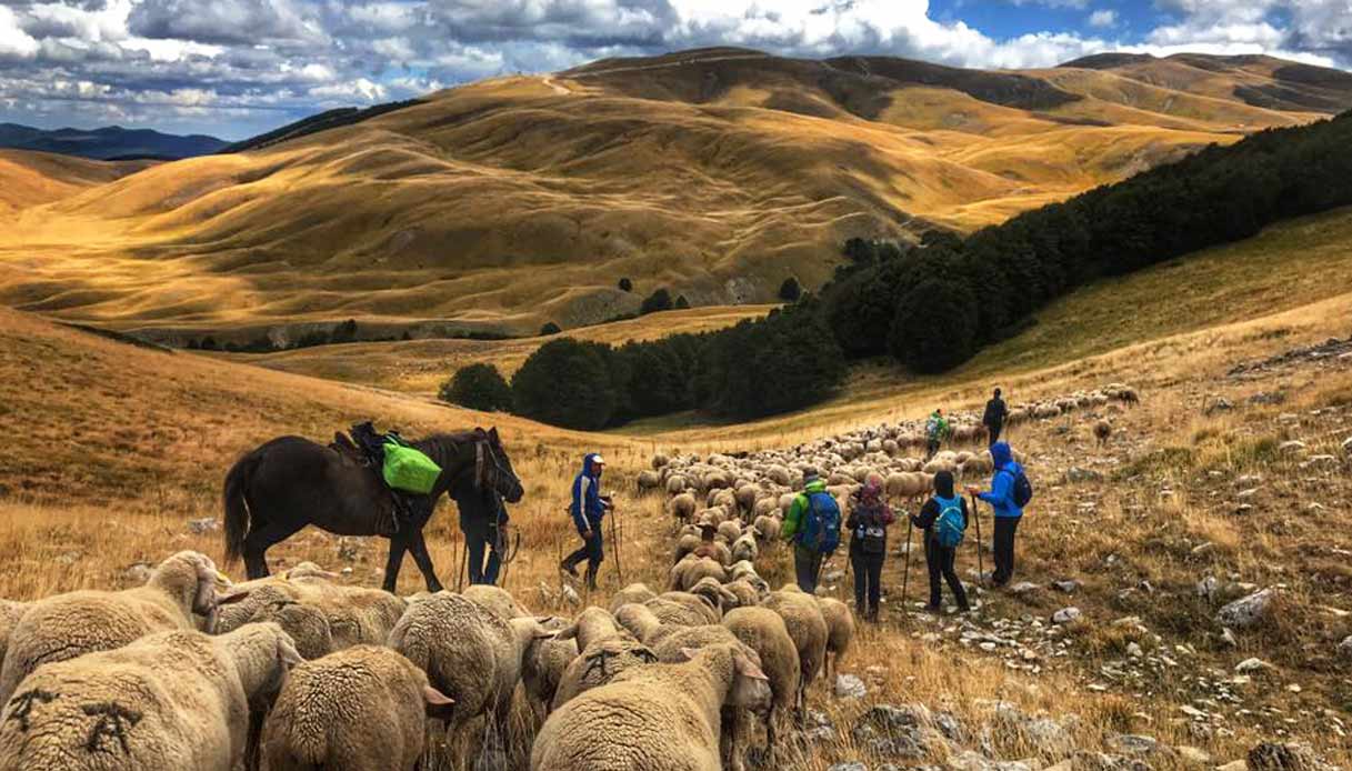 pastore-abruzzo