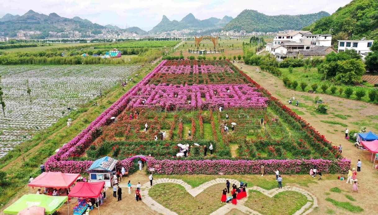 Labirinto di fiori del National Science and Technology Agricultural Park