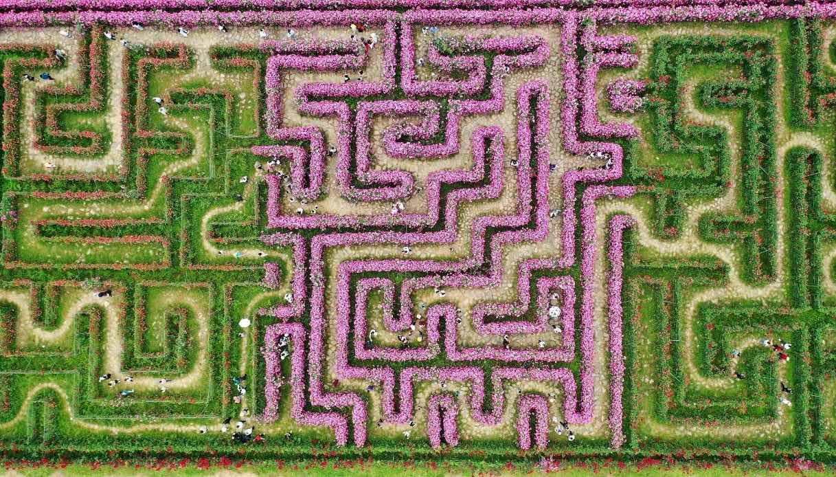 Labirinto di fiori del National Science and Technology Agricultural Park