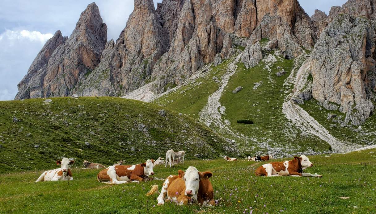 Parco Naturale Puez-Odle alto adige
