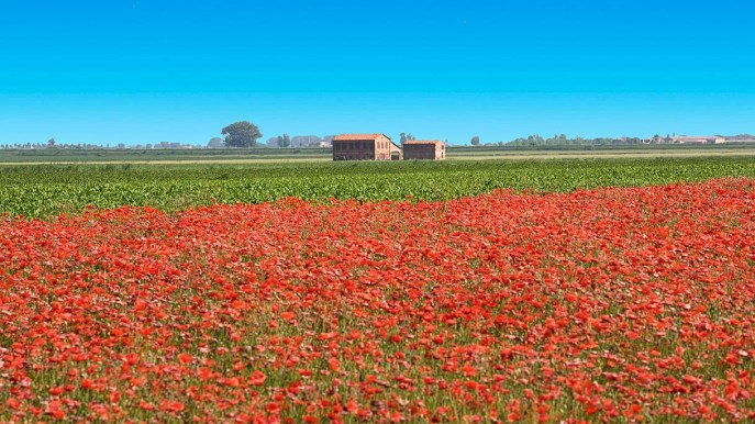 Scoprire una terra da favola tra i due grandi fiumi italiani