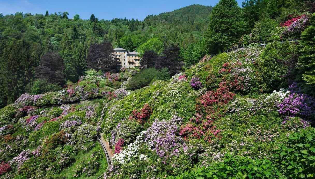 La Conca Dei Rododendri