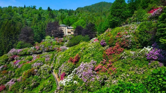 Abbiamo trovato la fioritura più bella d’Italia