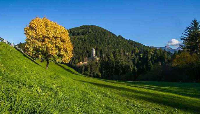 Schloss-Welsperg