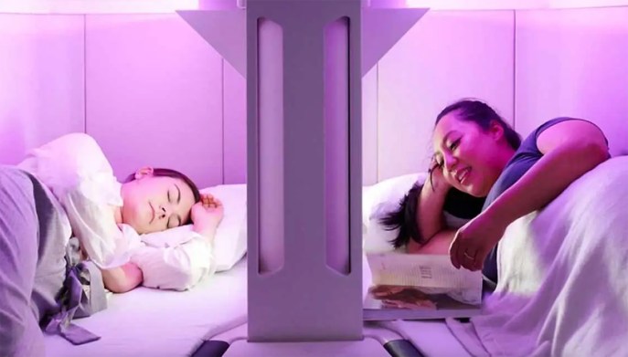 Skynest Air New Zealand