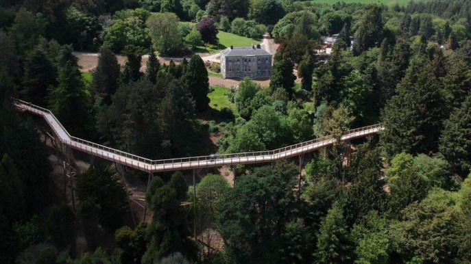 La passeggiata sospesa tra gli alberi nel cuore della foresta