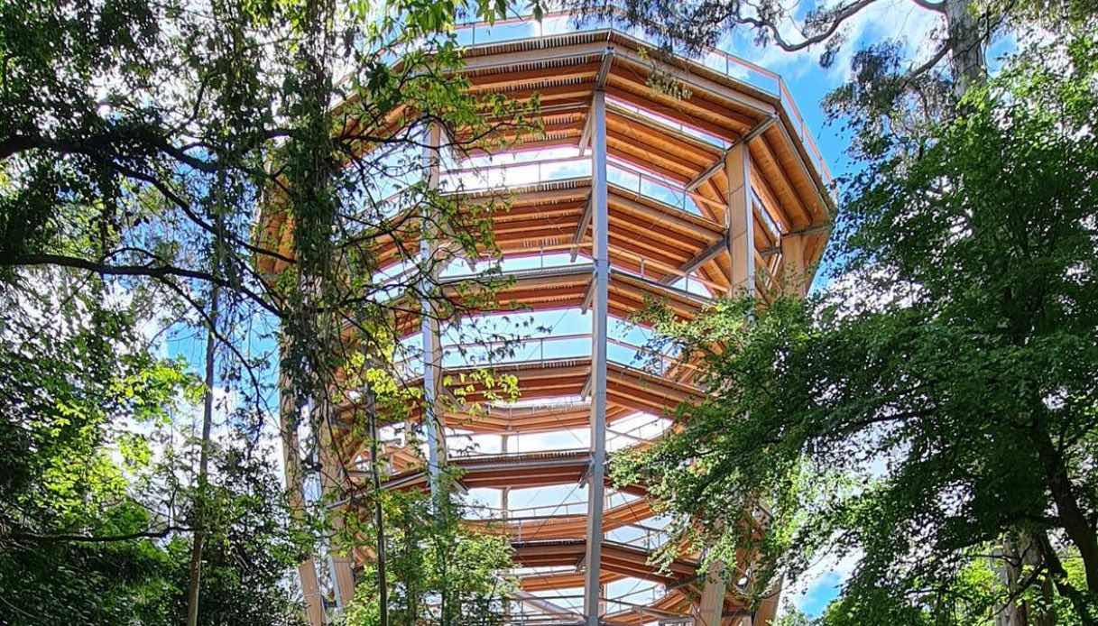 Avondale Treetop Walk, tower