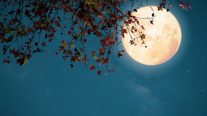 Sognando il cielo d’autunno: gli eventi a testa in su da non perdere