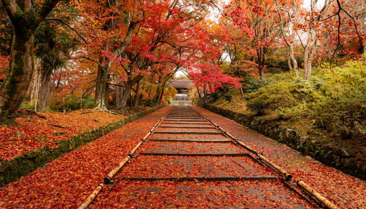 Bishamondo, Kyoto