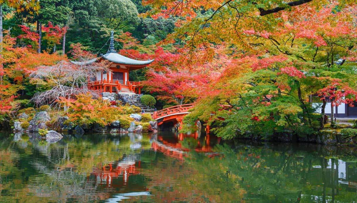 Daigoji a Kyoto: caccia alle foglie in Giappone