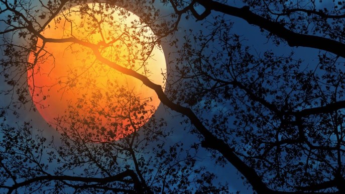 Ottobre a testa in su per ammirare la prima Luna piena d’autunno (e non solo)