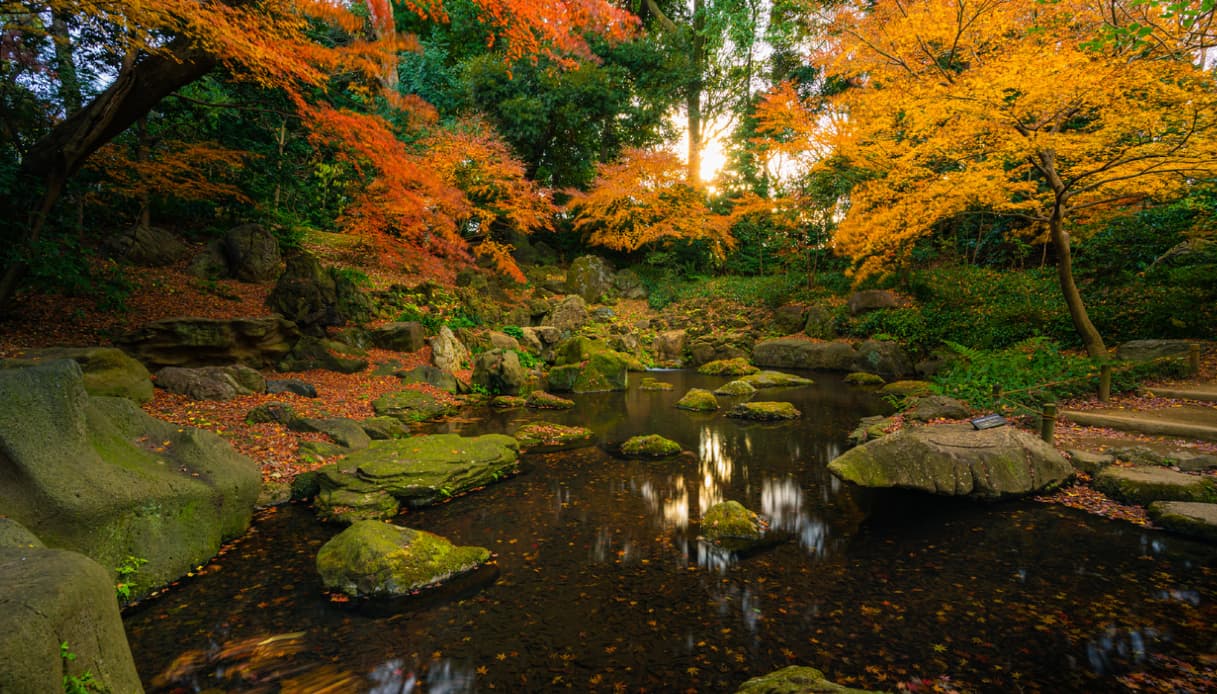 Parco Rikugien a Tokyo, per fare la caccia alle foglie in autunno