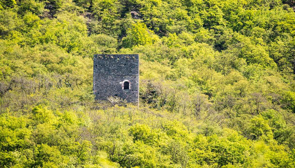 Torre Kröll,