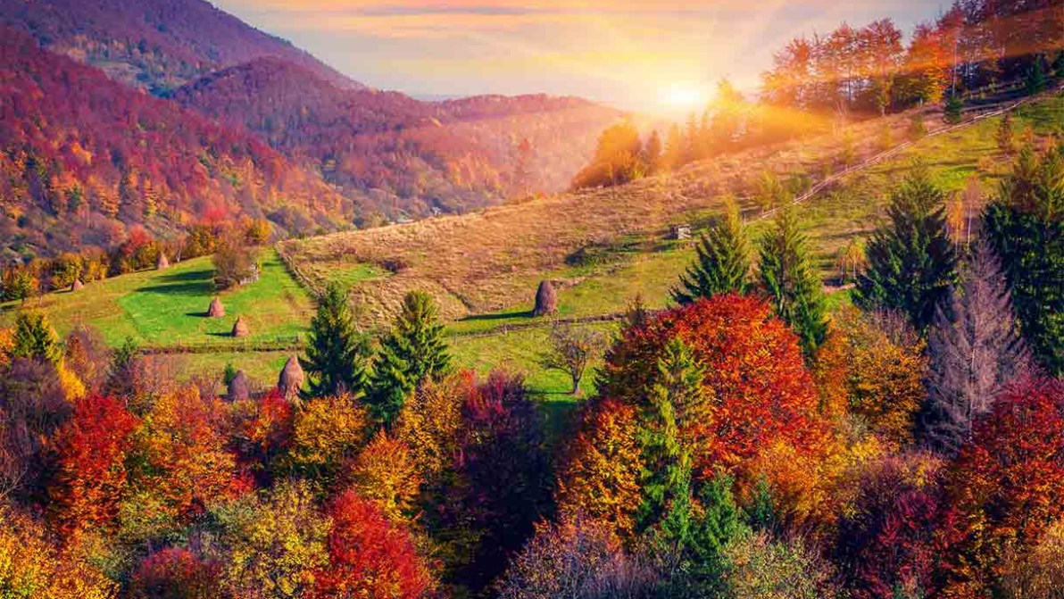 Mete d’autunno