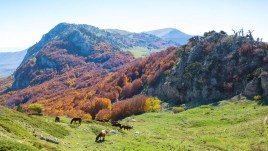 Le passeggiate più belle da fare in autunno in Italia