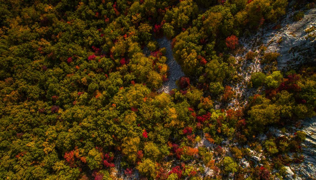 carso autunno