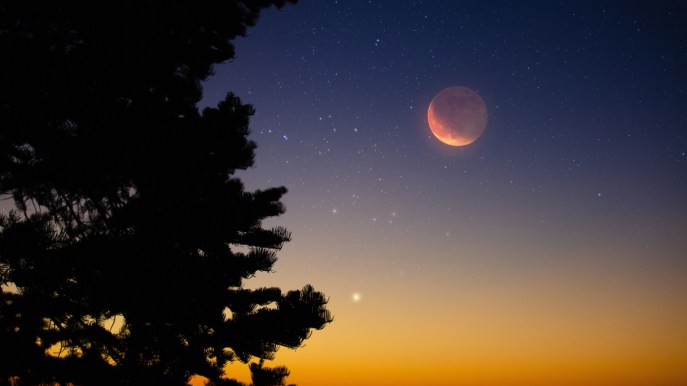 Novembre a testa in su: guarda che Luna