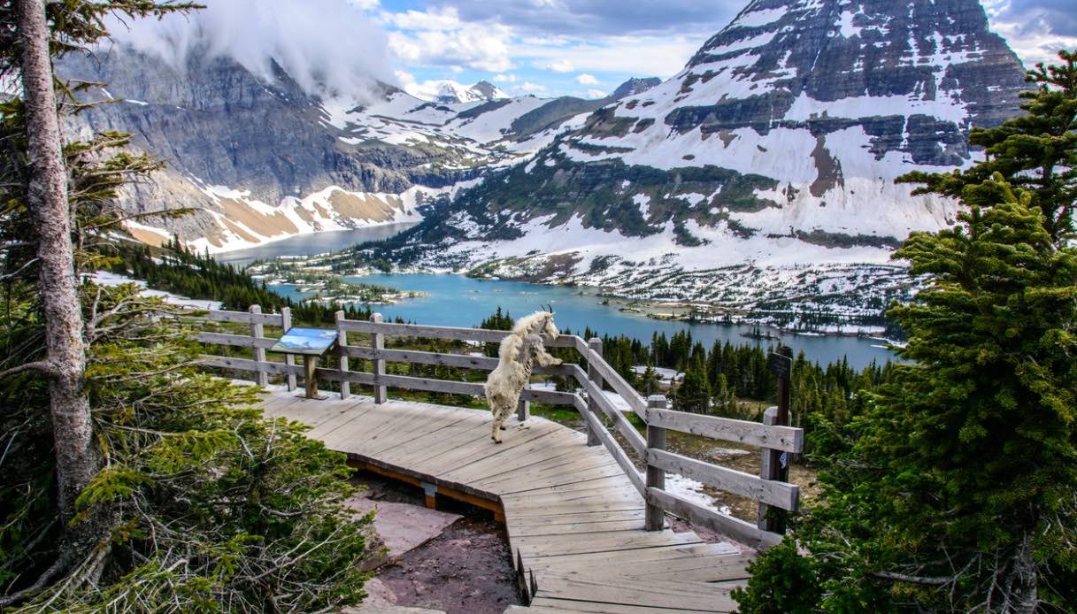 Glacier National Park