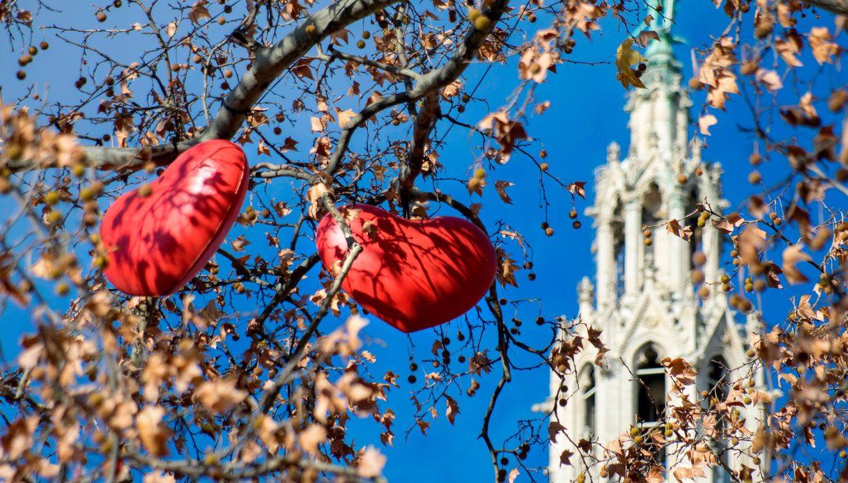 Albero di cuori a Vienna