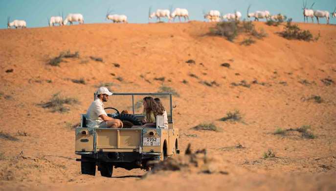 ras-al-khaimah-Al-Wadi-Desert