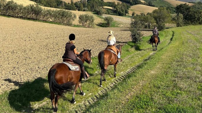 Buttero Zone, esperienza incredibile nelle Marche