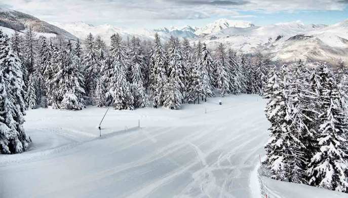 pila