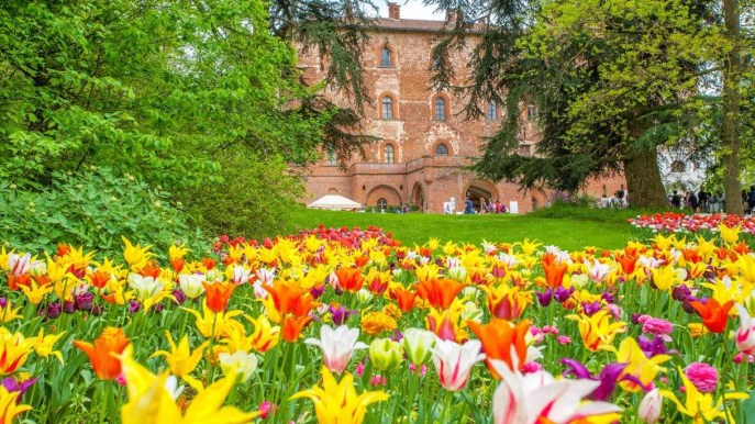 C’è un posto in Italia che sembra uno scorcio d’Olanda